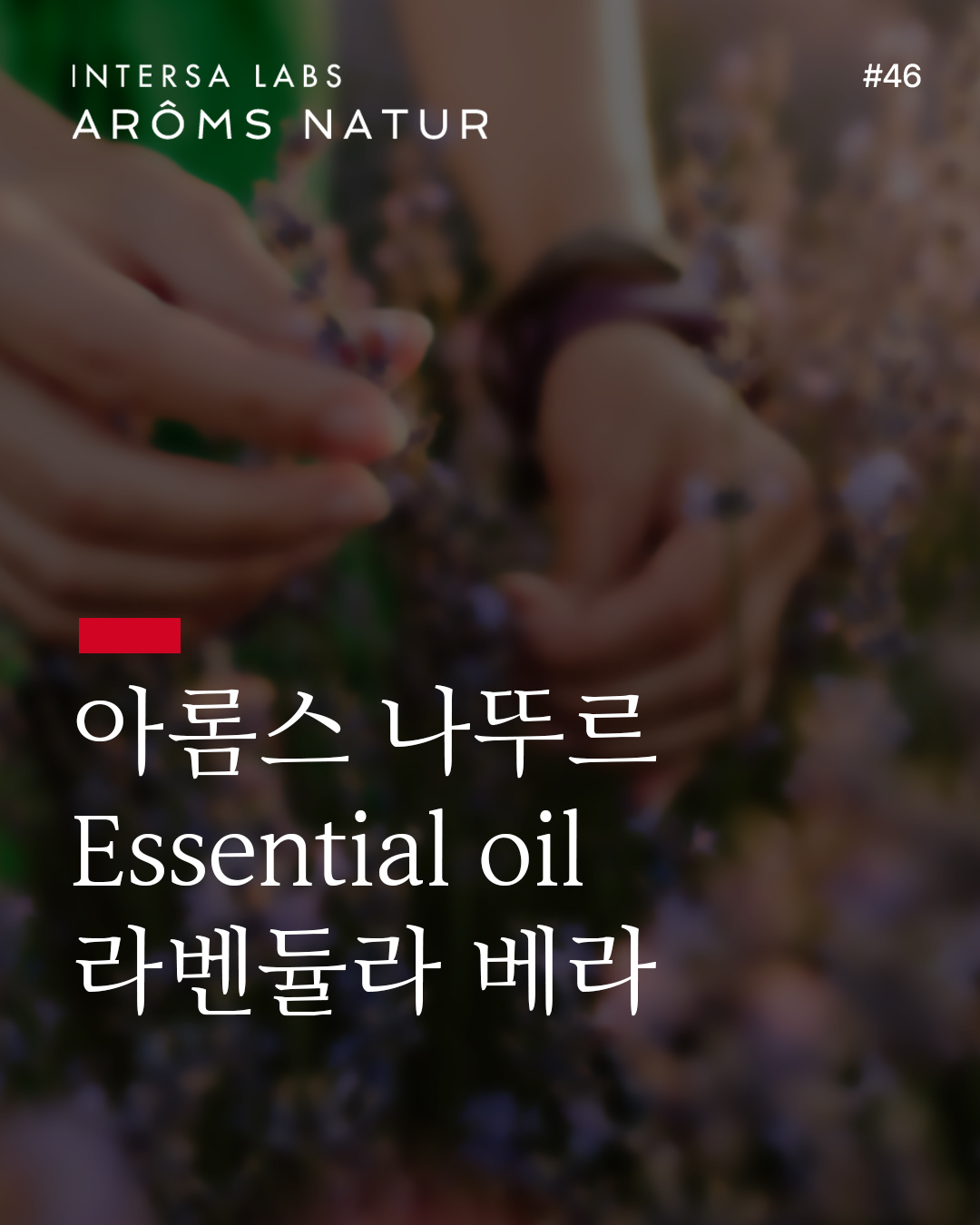 라벤둘라 베라 에센셜 오일