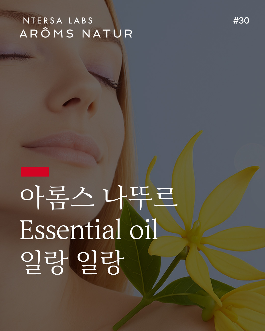 일랑일랑 에센셜 오일